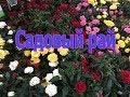 "ОБИ" "САДОВЫЙ РАЙ" КРАСОТА НЕ ОБЫКНОВЕННАЯ)))) 1 часть