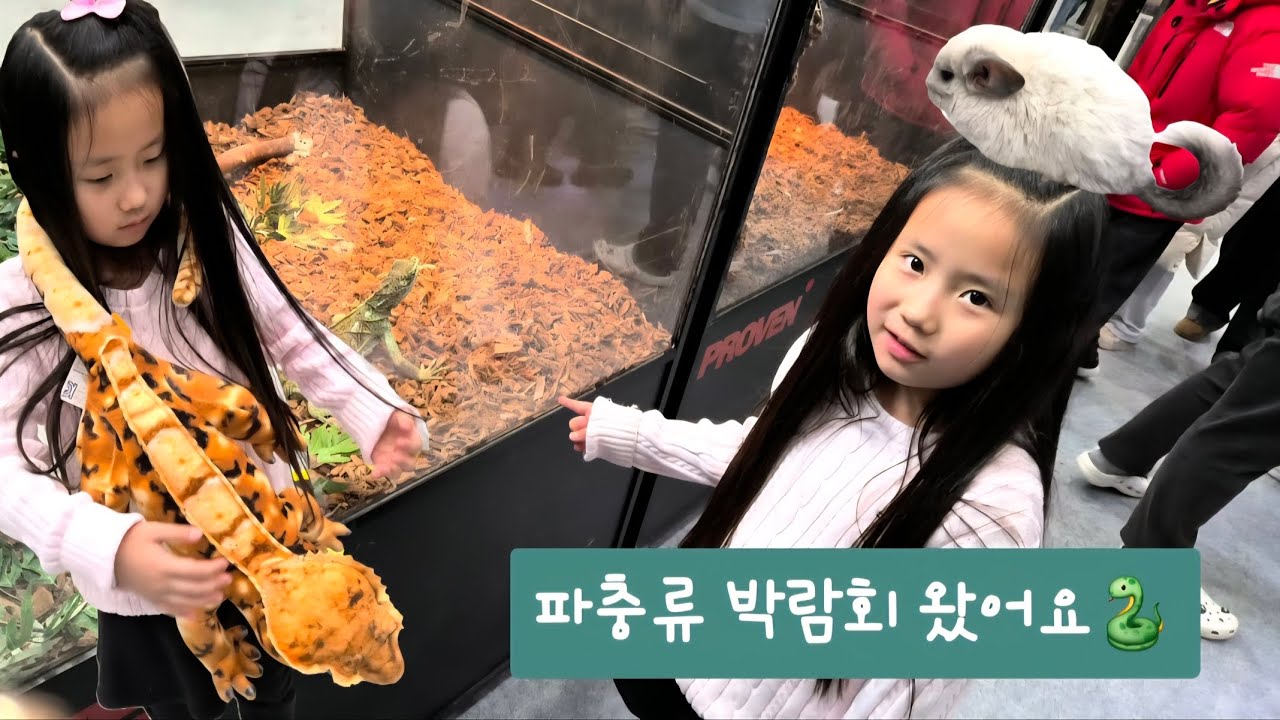 수원메쎄 파충류박람회에 가보았어요~~🤗