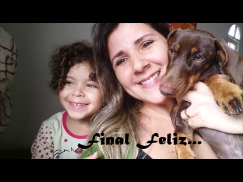 Vídeo: Toxicidade de zinco e envenenamento em cães