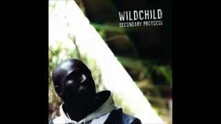 Wildchild - Operation Radio Raid (instrumental)