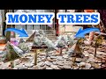 MONEY TREES Inside The High Limit Coin Pusher Jackpot WON MONEY ASMR