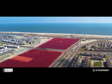 اول مول طبي في المنصوره الجديده   