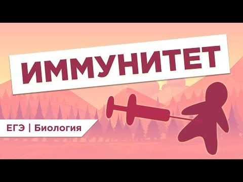 Как устроен ИММУНИТЕТ человека l ЕГЭ Биология | Даниил Дарвин | Вебиум