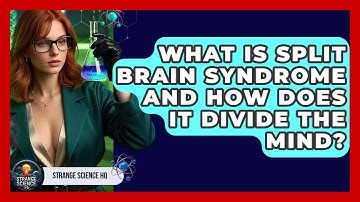 What Is Split Brain Syndrome And How Does It Divide The Mind? - Strange Science HQ