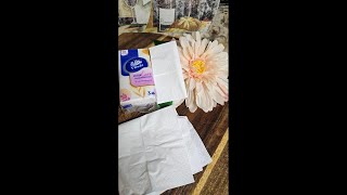 Career Overview 3-Ply Ultra Care Pocket Tissues, Travel Size (30 Packs of 10 Tissues)