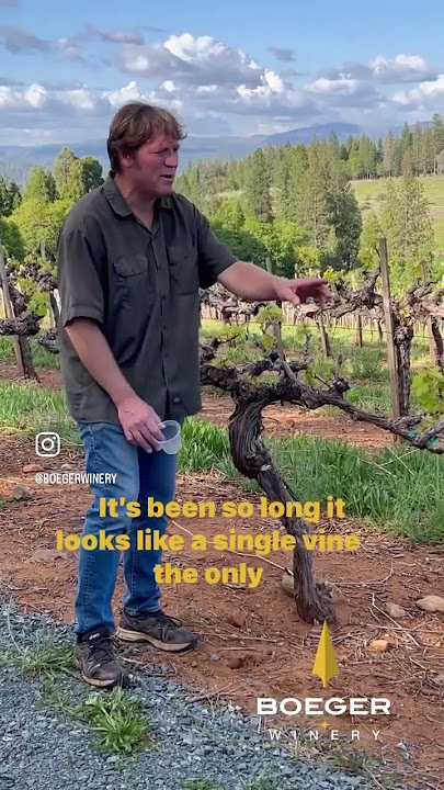 Keeping up with the Vineyard - Spring 2023, Part 5 “Grapevine Grafting!”