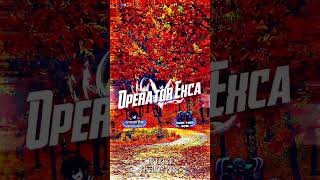 Indonesia.no.edit🤏😹style PH-MYM Boss, brutal&Bangers style #presetalightmotion #preset5mb #presetxml