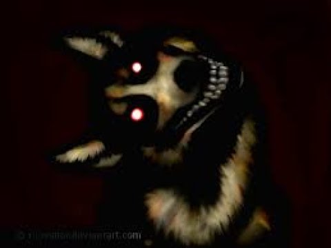 10 Facts About SMILE DOG! - YouTube