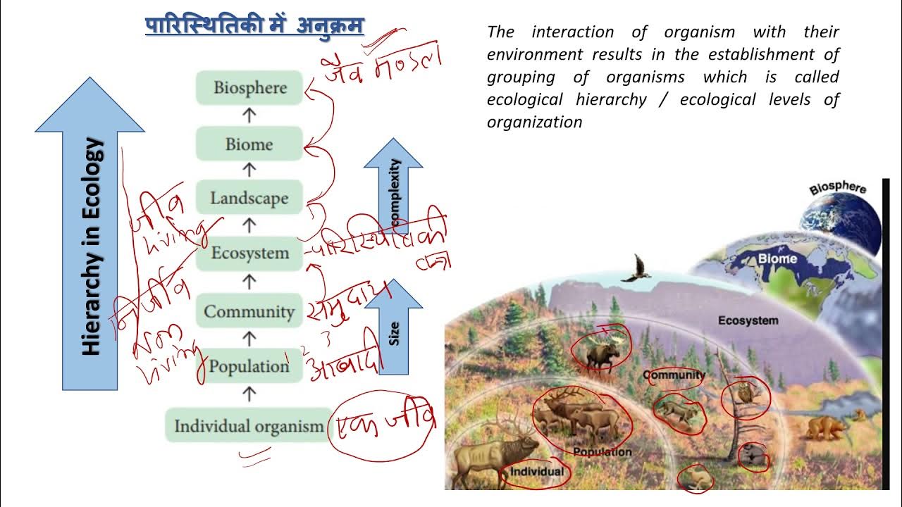 Ecology introduction and basic concepts Class 1Ecology definition, Autecology, synecology