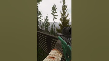 there is no cheater in escape from tarkov