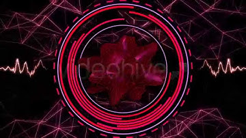 Pulse Equalizer - VJ Loop Pack (4in1)