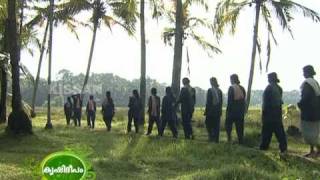 Paddy Cultivation in Fallow Land Kannur