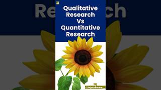 Qualitative vs Quantitative | Differences Between Qualitative &amp; Quantitative Research #shorts 🌻
