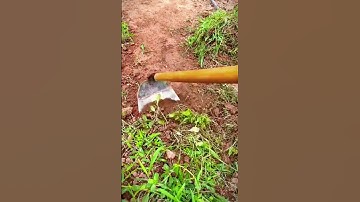the process of clearing wild plants in the garden using a hoe #shorts