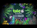 Celebramos las 100 ediciones de THC