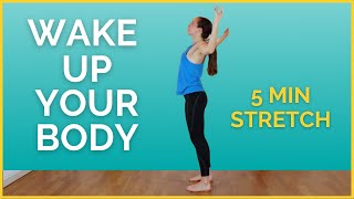 5 Minute MORNING STRETCH – Wake Up Your Whole Body!