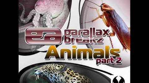 Parallax Breakz - Jaguar