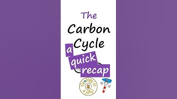 Carbon Cycle - a quick summary