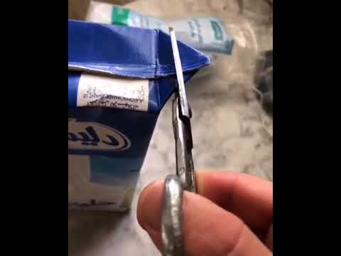 طهر يا مطهر برعاية دليس