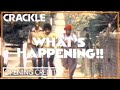 "WHAT'S HAPPENING!!" Opening Credits | Crackle Classic TV | THEME SONG