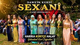 Daweta Kurdî - Sexanî | Kürt Düğünleri Halayı  | Harika Kürtçe Halay | Stranên Kurdî