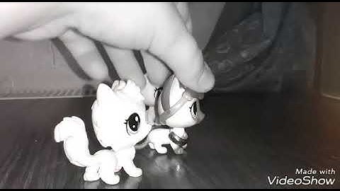 LPS:Tag You