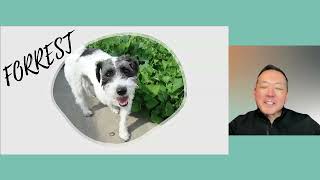 Camp Maddie: Bark to Basics: Meeting Dogs' Fundamental Needs  webcast