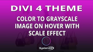 Divi 4 Color To Grayscale Image On Hover With Scale Effect