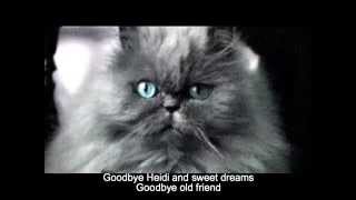 Goodbye Heidi and Sweet Dreams by Walt Barrett by Walt Barrett 67 views 8 years ago 26 seconds