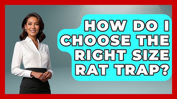 How Do I Choose The Right Size Rat Trap? - Insects and Invaders