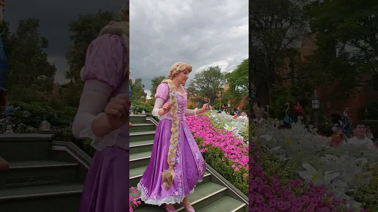 A Dream World - °0° princesse Disney °0° Raiponce est une belle et  téméraire jeune fille. #Disney #Raiponce #DisneylandParis