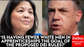 WATCH: Jim Banks Grills Acting Labor Sec. Julie Su On DEI Rules And Apprenticeship 'Racial Quotas'