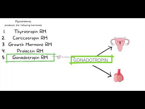 Ati Teas 7 I Complete Review Of The Endocrine System