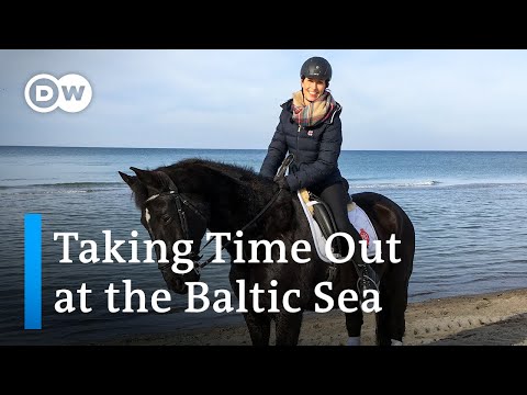 Tranquility and Nature: DW's Nicole Frölich Discovers the Darss Peninsula on Germany's Baltic Coast