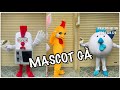 Mascot con gà - mascot chicken costumes