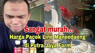 Murah... Pacek Pakhoy Manedaeng di Putra Jaya Farm
