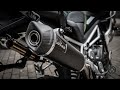 2023 triumph tiger 1200 rally pro  leovince nero exhaust