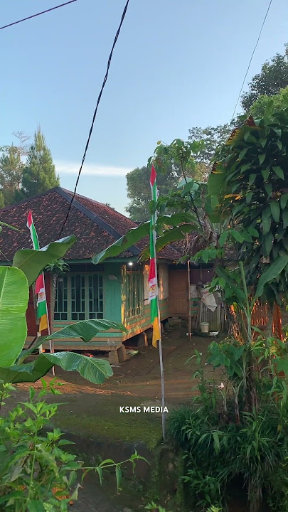 Penuh kedamaian #fypyoutube #shortvideo #suasanakampung #suasanayangindah