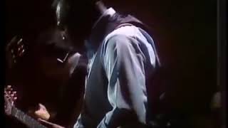 Albert King  "The Sky Is Crying"