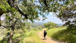 Crest, Boulder & Cougar Ridge Trails | Silent Hike by Marmalade Outdoors 197 views 2 weeks ago 5 minutes, 59 seconds