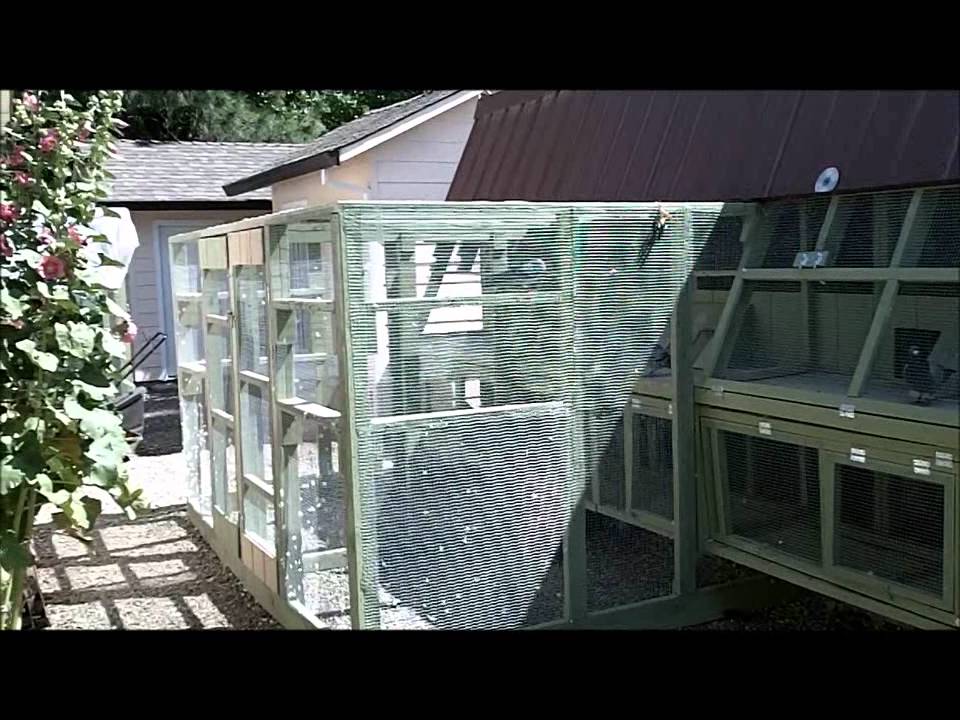 Joe & Loli's Loft June 2012.wmv