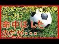 女の子がヤンキー3人に絡まれてた。サッカーしてた俺はサッカーボールをヤンキーめがけて蹴った⇒結果・・・