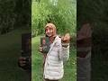 رواية أنتيخريستوس 