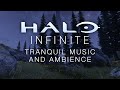 Halo infinite  peaceful music  ambience iconic music with 8 immersive scenes in 4k