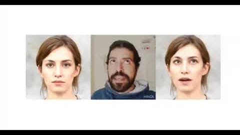 My first order model test with Google colab!