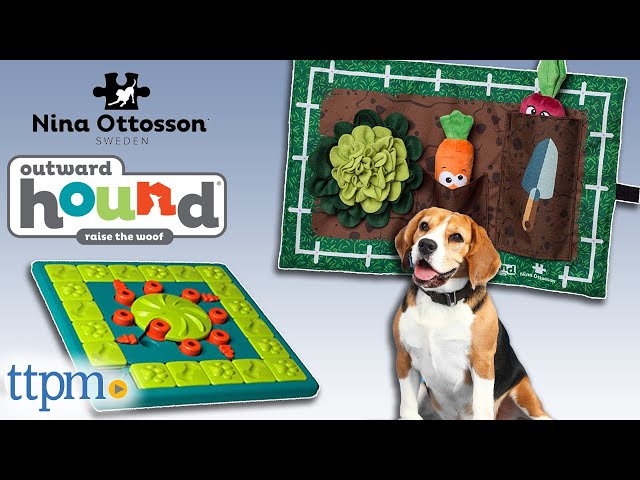 Nina Ottosson by Outward Hound Interactive Dog Game Multipuzzle