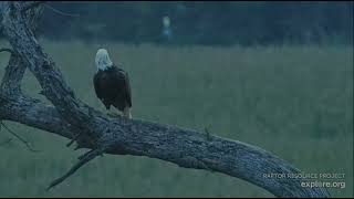 Decorah Eagles 8-21-26 HM2 has breakfish on the Spooky Tree