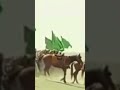 Imam abu Hanif a.s #comments #like #religion #subscribe #viral #viralshorts