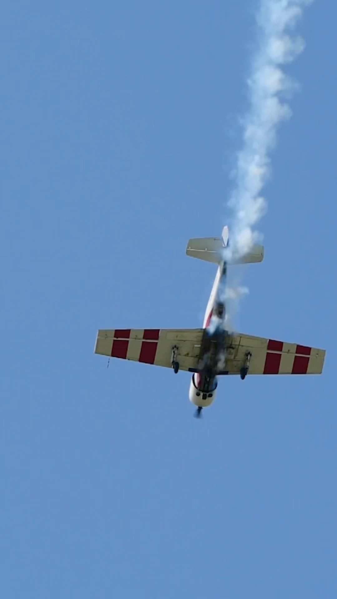 Every Pilot Acts Like This #pilotlife #funny #comedyvideo #airplane #travelissues #travelvlog