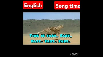 English Unit 4 Animals in the jungle Song time This is big.. big.. English EnnumEzhuthum
